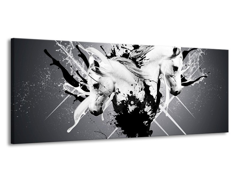 Canvas schilderij Abstract | Wit, Zwart, Grijs | 145x58cm 1Luik
