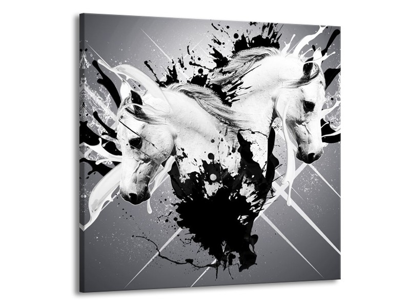 Canvas schilderij Abstract | Wit, Zwart, Grijs | 50x50cm 1Luik