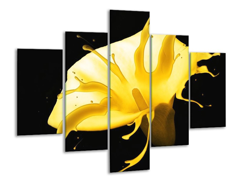 Canvas schilderij Bloem | Geel, Zwart | 100x70cm 5Luik
