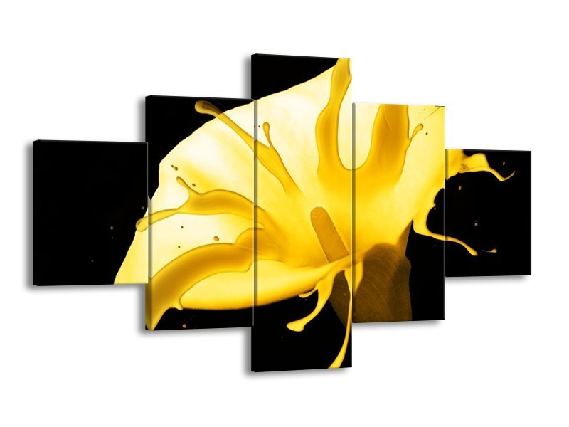 Canvas schilderij Bloem | Geel, Zwart | 125x70cm 5Luik