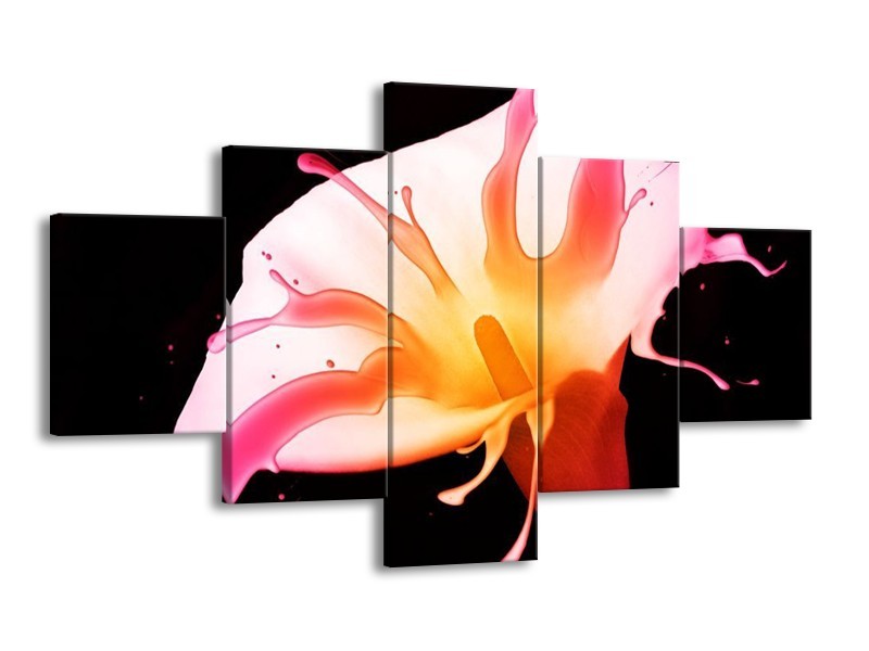 Canvas schilderij Bloem | Roze, Geel, Oranje | 125x70cm 5Luik