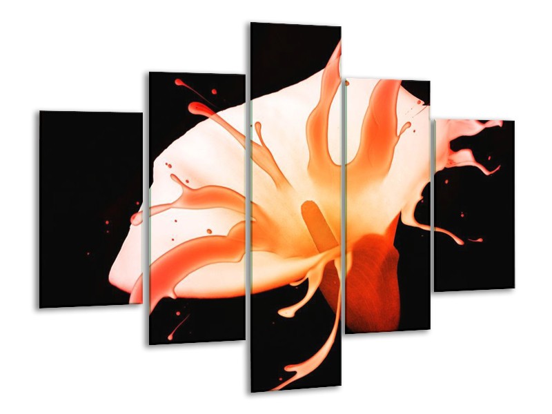 Canvas schilderij Bloem | Oranje, Zwart | 100x70cm 5Luik