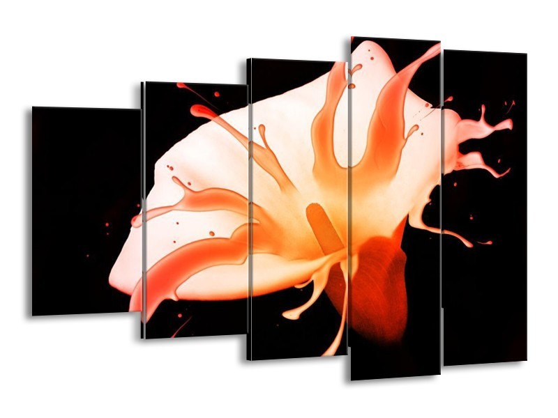 Canvas schilderij Bloem | Oranje, Zwart | 150x100cm 5Luik