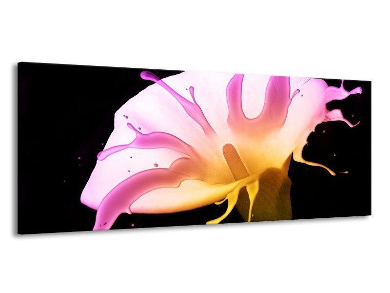 Canvas schilderij Bloem | Roze, Geel, Zwart | 145x58cm 1Luik