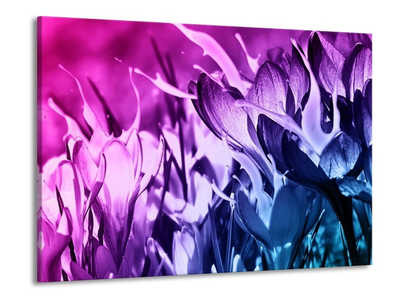 Canvas schilderij Bloem | Paars, Blauw | 100x70cm 1Luik