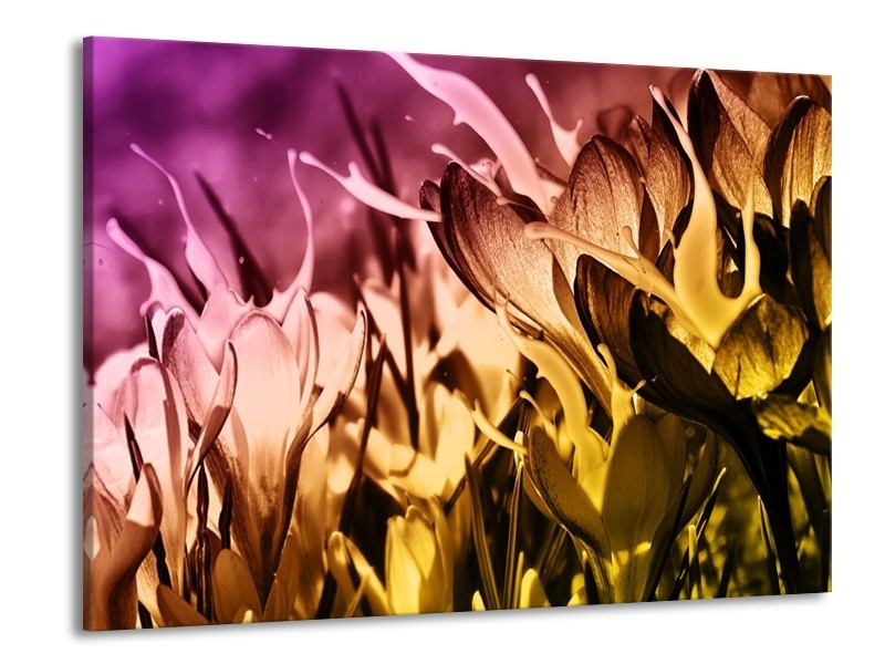 Canvas schilderij Bloem | Bruin, Roze, Geel | 100x70cm 1Luik