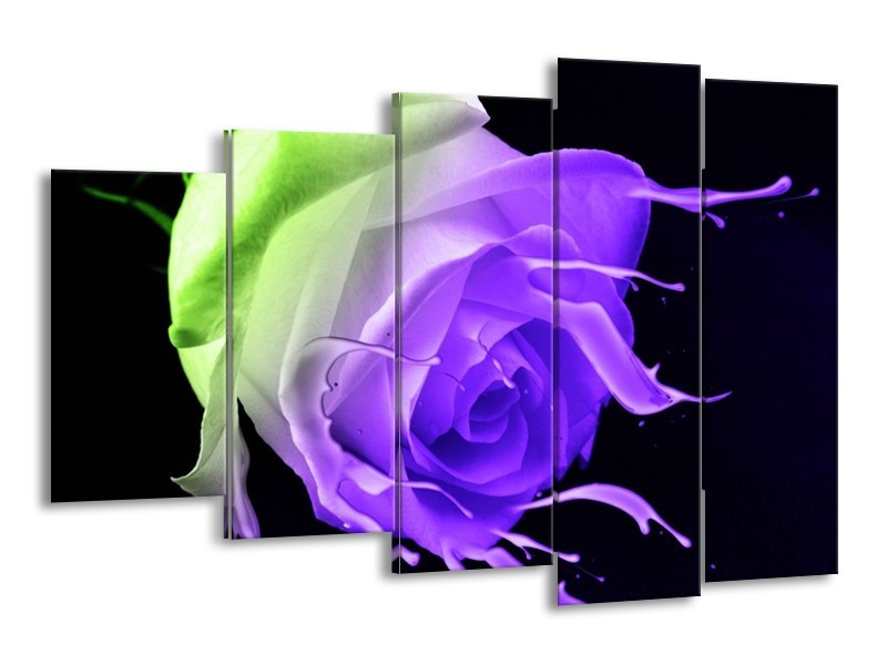 Canvas schilderij Roos | Paars, Groen, Zwart | 150x100cm 5Luik