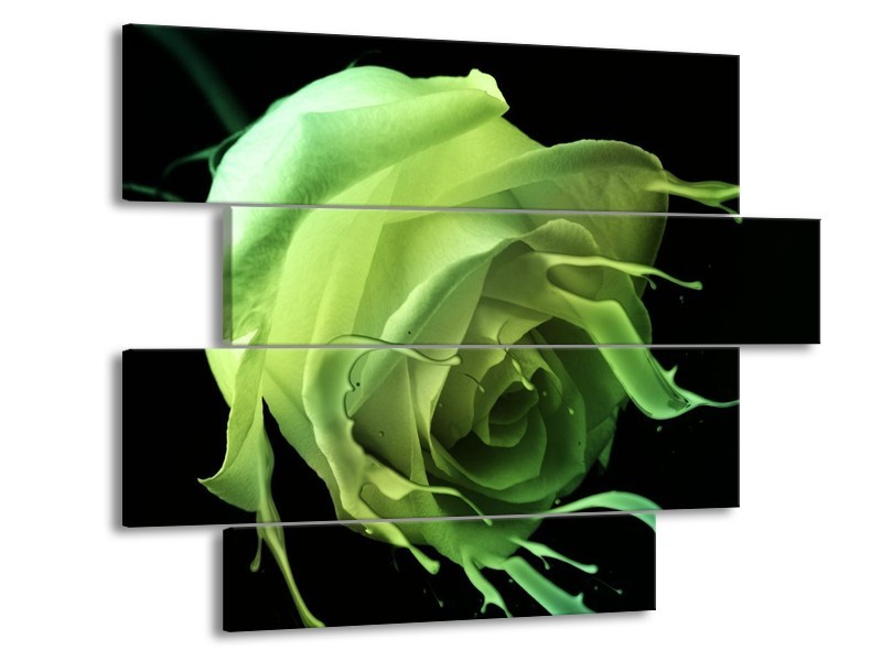 Canvas schilderij Roos | Groen, Zwart, | 115x85cm 4Luik