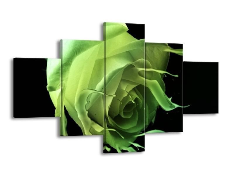 Canvas schilderij Roos | Groen, Zwart, | 125x70cm 5Luik
