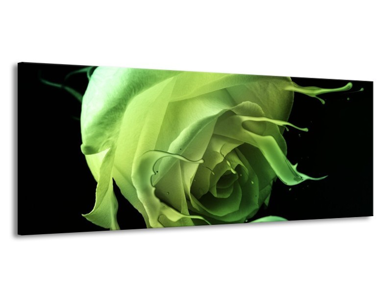 Canvas schilderij Roos | Groen, Zwart, | 145x58cm 1Luik