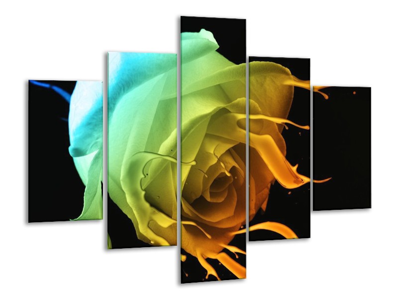 Canvas schilderij Roos | Groen, Blauw, Oranje | 100x70cm 5Luik
