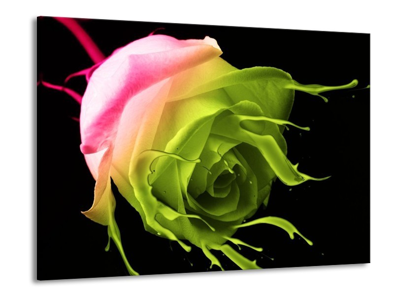 Canvas schilderij Roos | Roze, Groen, Zwart | 100x70cm 1Luik