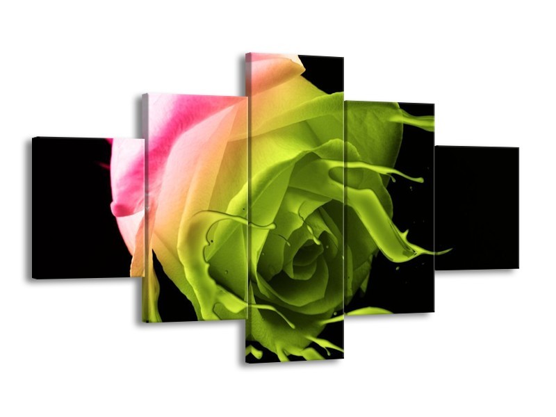 Canvas schilderij Roos | Roze, Groen, Zwart | 125x70cm 5Luik