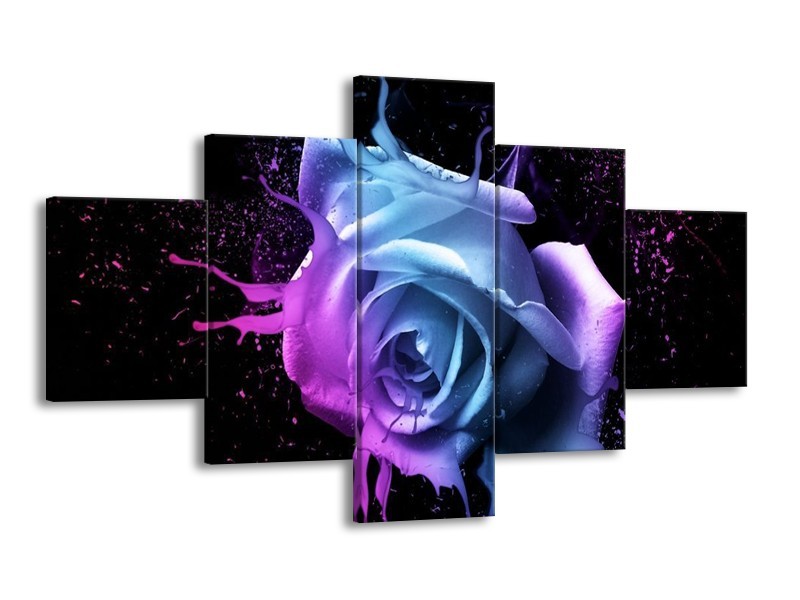 Canvas schilderij Roos | Paars, Blauw, Zwart | 125x70cm 5Luik