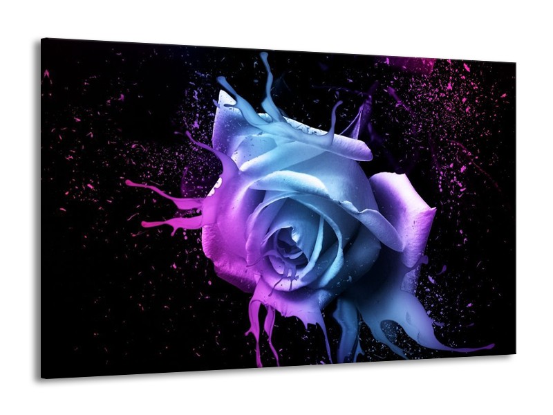 Canvas schilderij Roos | Paars, Blauw, Zwart | 140x90cm 1Luik