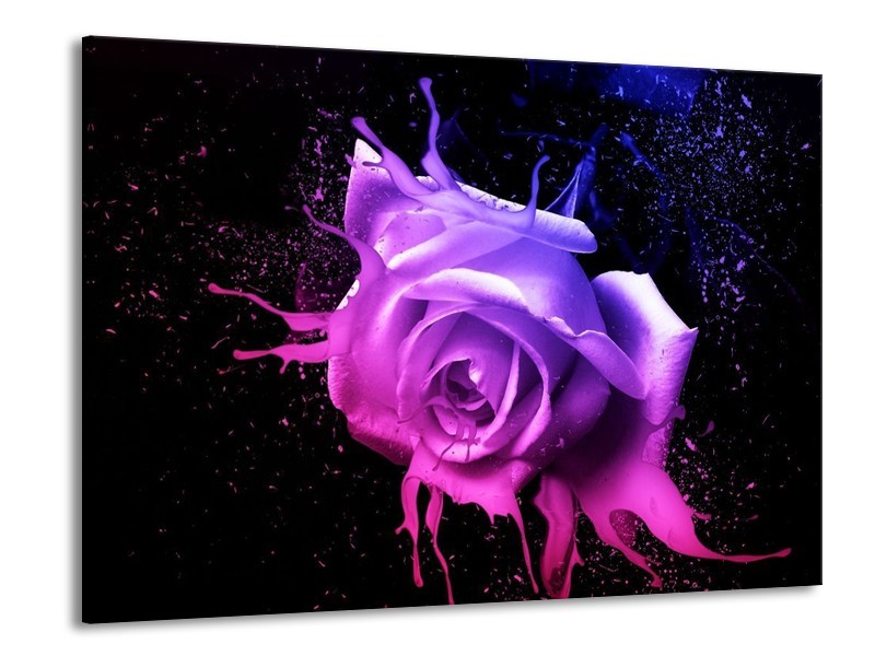 Canvas schilderij Roos | Roze, Paars, Blauw | 100x70cm 1Luik