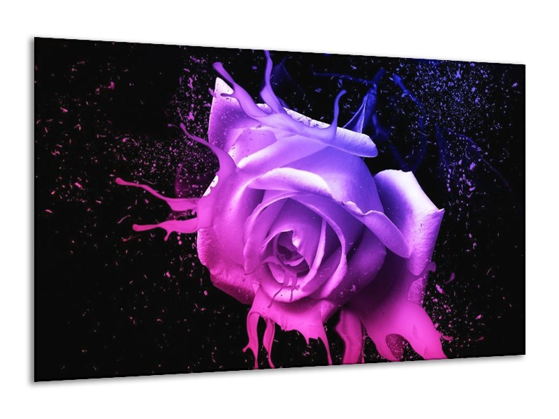 Canvas schilderij Roos | Roze, Paars, Blauw | 120x70cm 1Luik