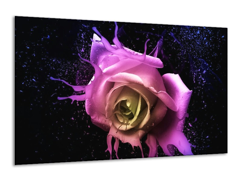 Canvas schilderij Roos | Paars, Roze, Zwart | 120x70cm 1Luik