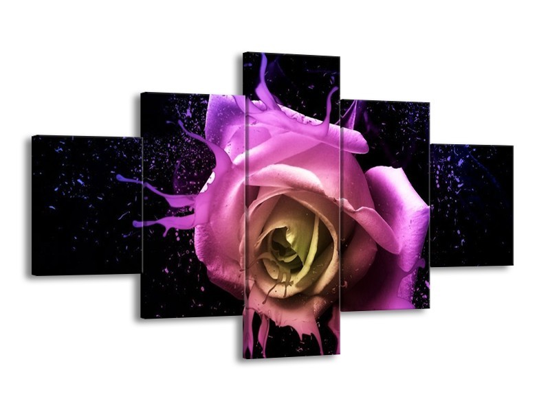 Canvas schilderij Roos | Paars, Roze, Zwart | 125x70cm 5Luik