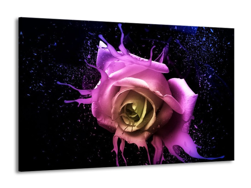 Canvas schilderij Roos | Paars, Roze, Zwart | 140x90cm 1Luik