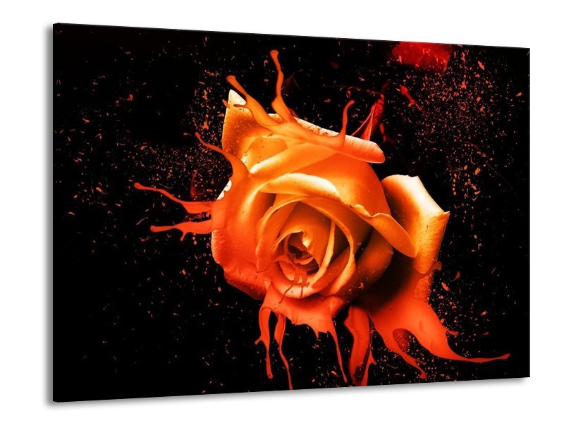 Canvas schilderij Roos | Oranje, Zwart | 100x70cm 1Luik