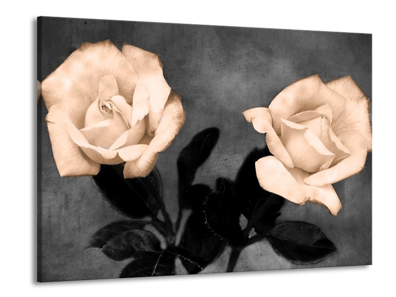 Canvas schilderij Roos | Sepia, Zwart | 100x70cm 1Luik