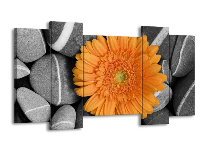 Canvas schilderij Bloem | Oranje, Grijs | 120x65 5Luik