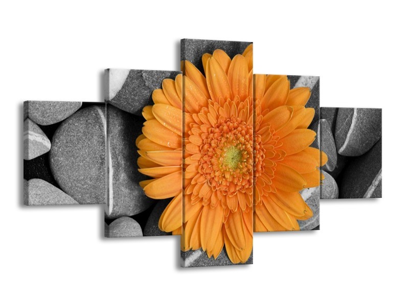 Canvas schilderij Bloem | Oranje, Grijs | 125x70cm 5Luik