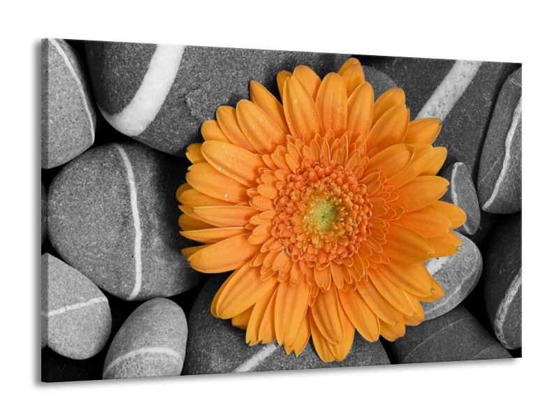 Canvas schilderij Bloem | Oranje, Grijs | 140x90cm 1Luik