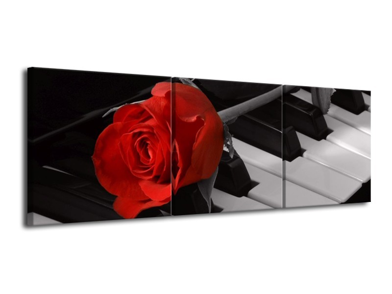 Glas schilderij Roos | Rood, Wit, Zwart | 120x40cm 3Luik
