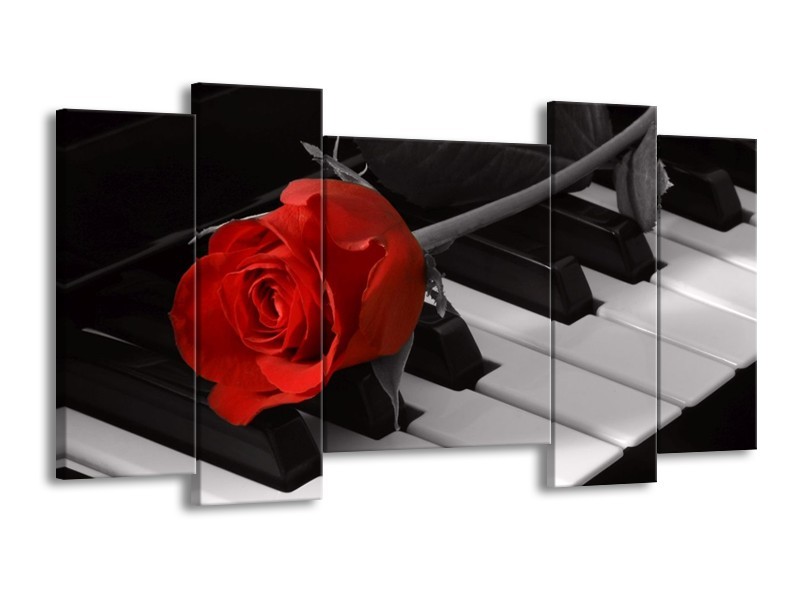 Glas schilderij Roos | Rood, Wit, Zwart | 120x65cm 5Luik