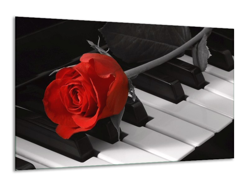 Glas schilderij Roos | Rood, Wit, Zwart | 120x70cm 1Luik