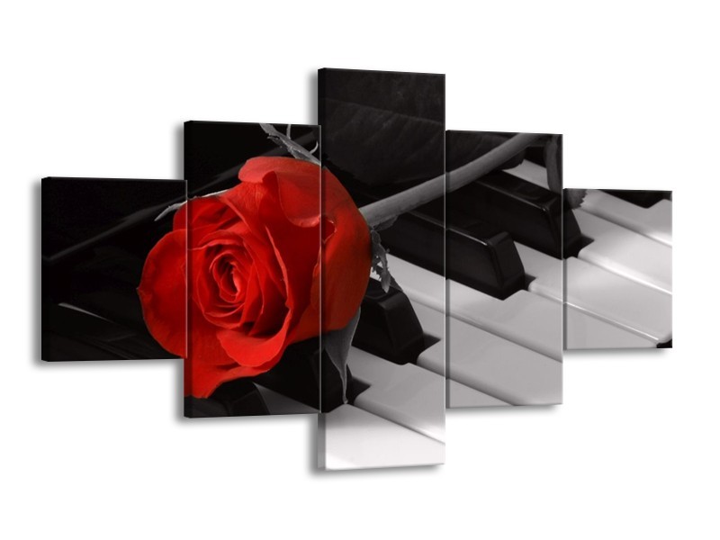 Glas schilderij Roos | Rood, Wit, Zwart | 125x70cm 5Luik
