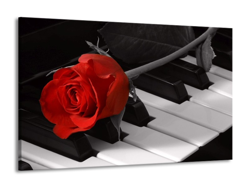 Glas schilderij Roos | Rood, Wit, Zwart | 140x90cm 1Luik