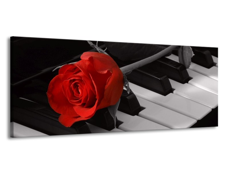 Glas schilderij Roos | Rood, Wit, Zwart | 145x58cm 1Luik