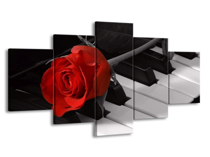Glas schilderij Roos | Rood, Wit, Zwart | 150x80cm 5Luik