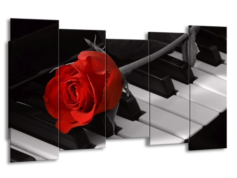 Glas schilderij Roos | Rood, Wit, Zwart | 150x80cm 5Luik