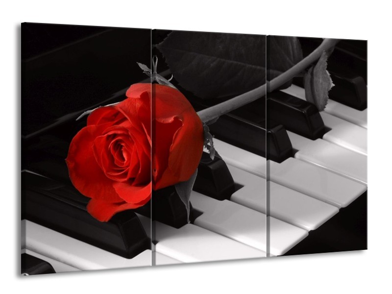 Glas schilderij Roos | Rood, Wit, Zwart | 165x100cm 3Luik