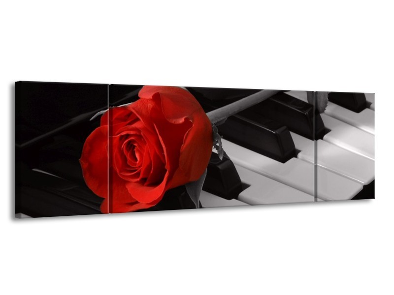 Glas schilderij Roos | Rood, Wit, Zwart | 170x50cm 3Luik