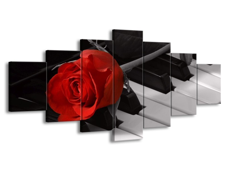 Glas schilderij Roos | Rood, Wit, Zwart | 210x100cm 7Luik