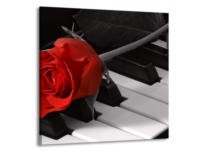 Glas schilderij Roos | Rood, Wit, Zwart | 70x70cm 1Luik