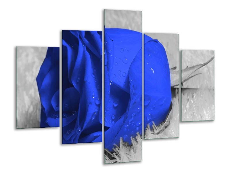 Canvas schilderij Roos | Blauw, Grijs, Wit | 100x70cm 5Luik