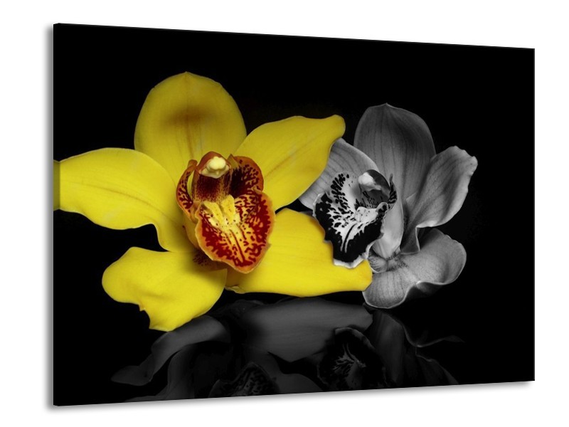 Canvas schilderij Orchidee | Geel, Grijs, Zwart | 100x70cm 1Luik