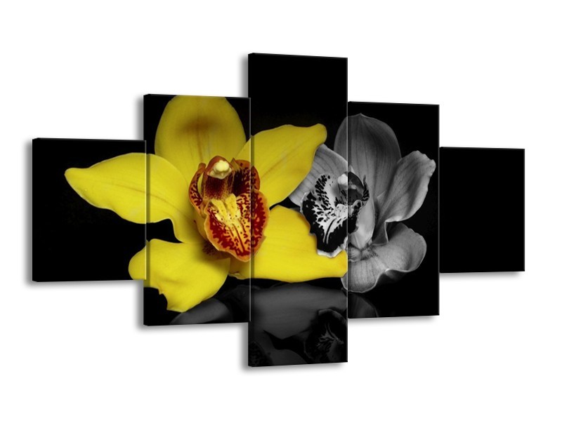 Canvas schilderij Orchidee | Geel, Grijs, Zwart | 125x70cm 5Luik