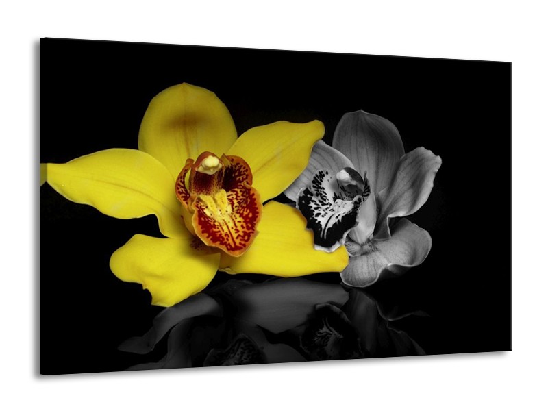 Canvas schilderij Orchidee | Geel, Grijs, Zwart | 140x90cm 1Luik