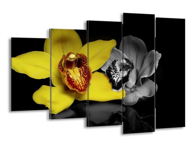 Canvas schilderij Orchidee | Geel, Grijs, Zwart | 150x100cm 5Luik