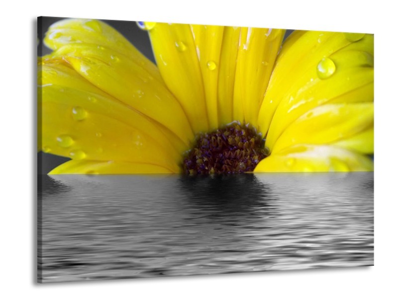 Canvas schilderij Bloem | Geel, Grijs | 100x70cm 1Luik