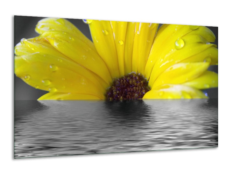 Canvas schilderij Bloem | Geel, Grijs | 120x70cm 1Luik