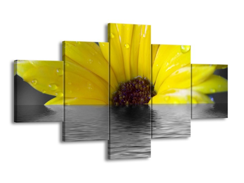 Canvas schilderij Bloem | Geel, Grijs | 125x70cm 5Luik