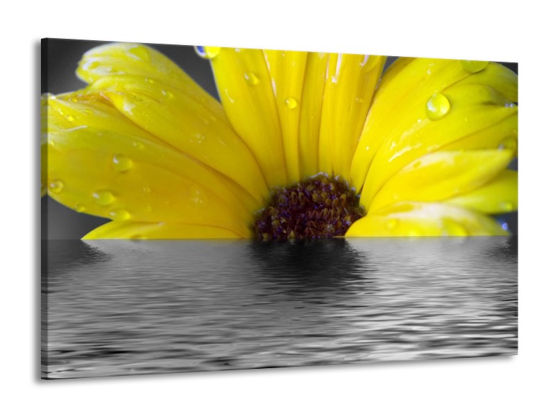 Canvas schilderij Bloem | Geel, Grijs | 140x90cm 1Luik